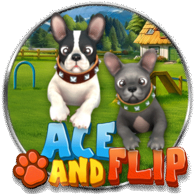 Ace and Flip