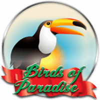 Birds of Paradise