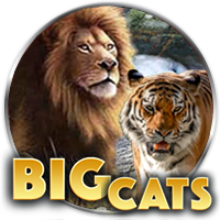 Big Cats
