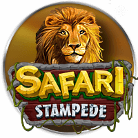 Safari Stampede