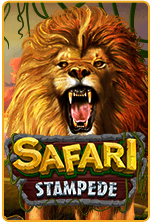 Safari Stampede